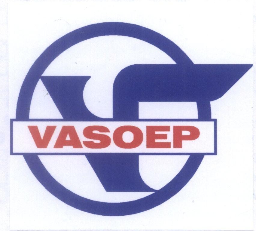 Mẫu nhãn hiệu V F VASOEP