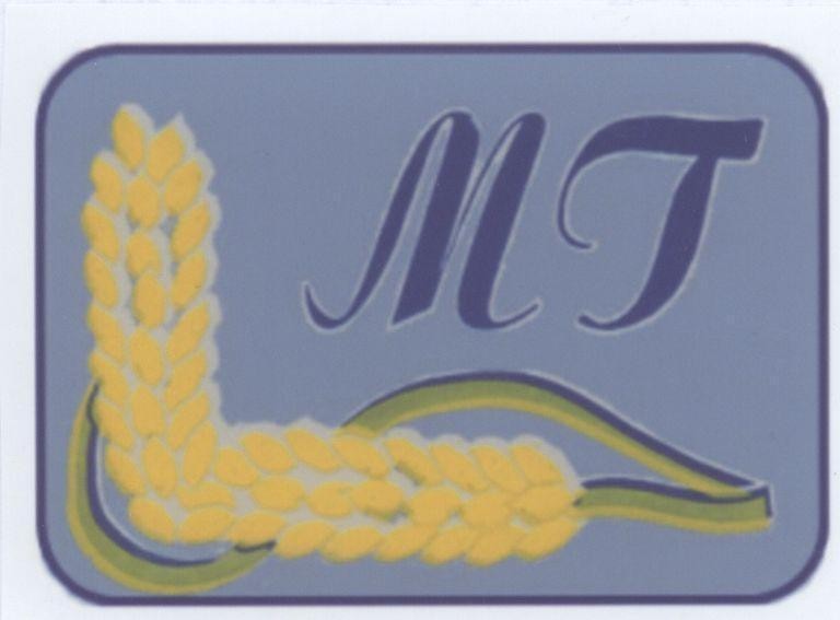 Mẫu nhãn hiệu L MT