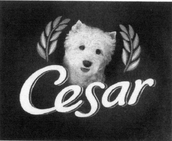 Mẫu nhãn hiệu CESAR