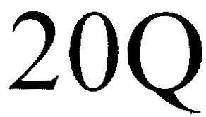 Mẫu nhãn hiệu 20Q