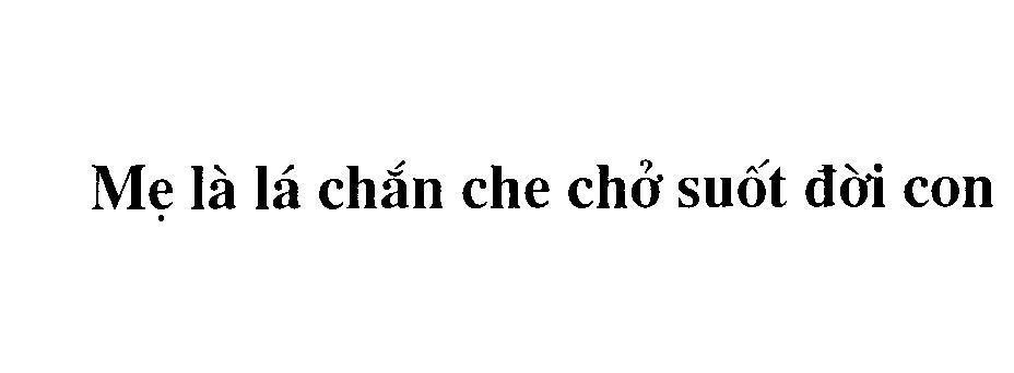 Mẫu nhãn hiệu Mẹ là lá chắn che chở suốt đời con