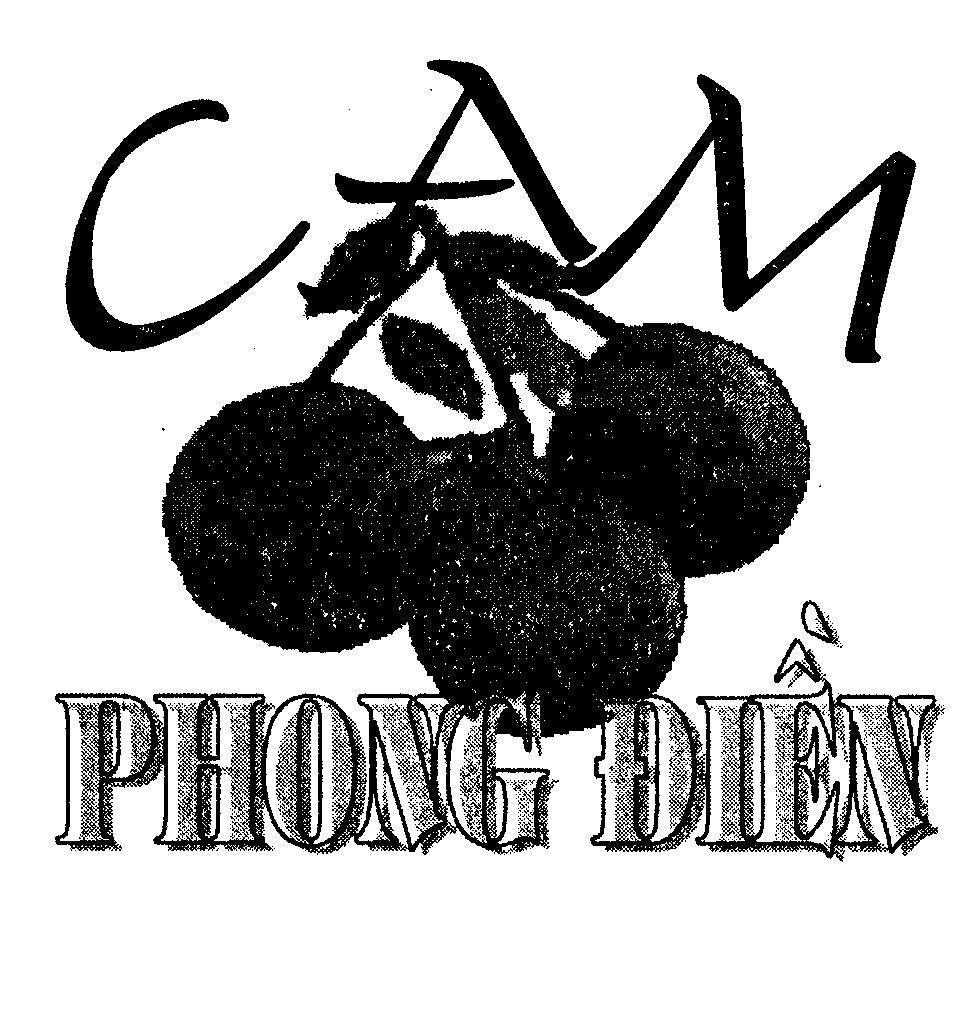 Mẫu nhãn hiệu Cam Phong Điền