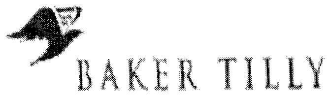 Mẫu nhãn hiệu BAKER TILLY