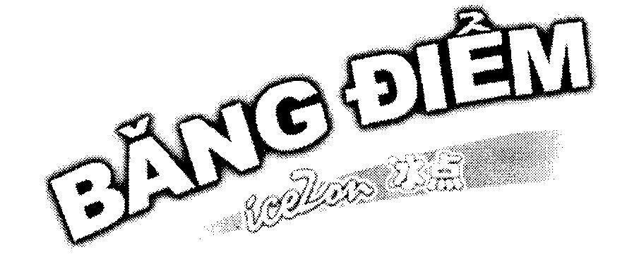 Mẫu nhãn hiệu Băng Điểm iceZon BING DIAN