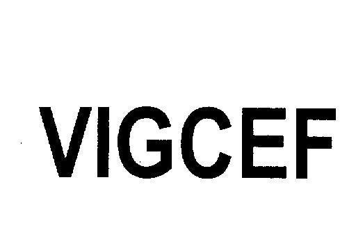 Mẫu nhãn hiệu VIGCEF