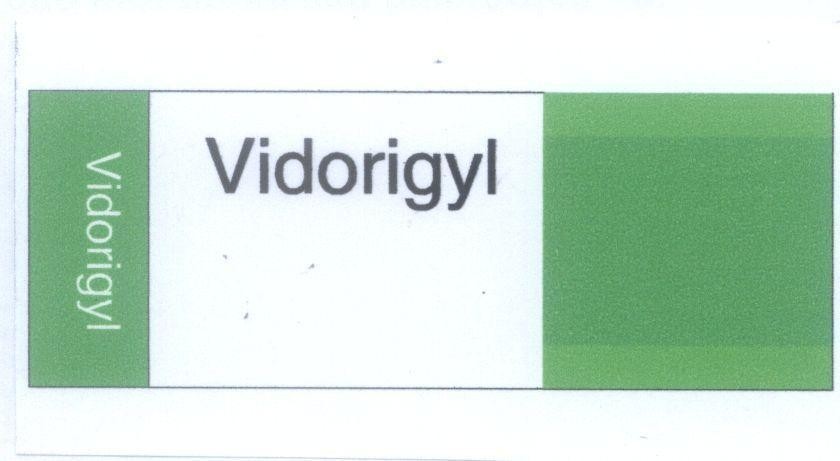 Mẫu nhãn hiệu Vidorigyl