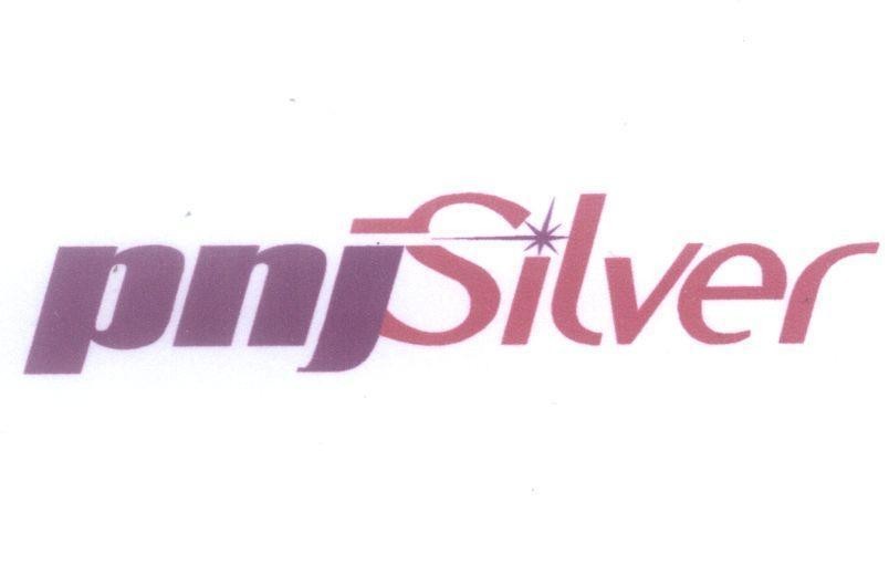 Mẫu nhãn hiệu pnjSilver