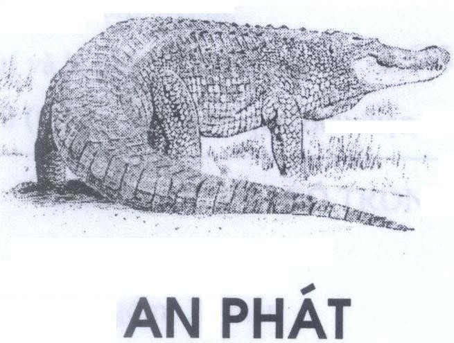 Mẫu nhãn hiệu An phát