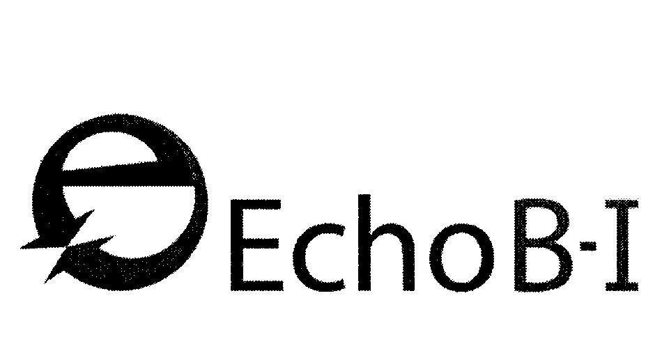 Mẫu nhãn hiệu E EchoB-I
