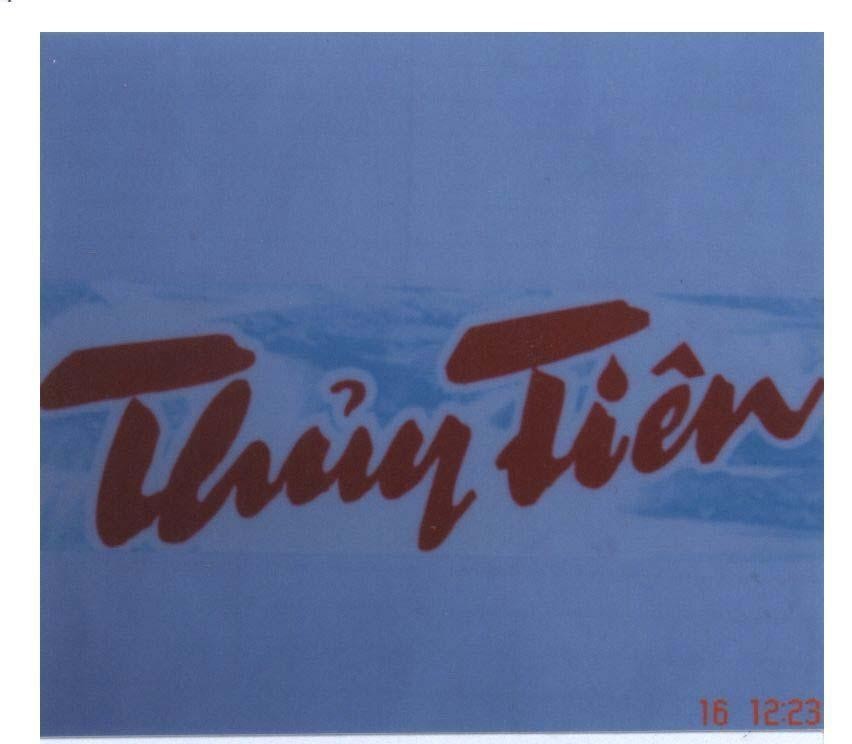 Mẫu nhãn hiệu Thuỷ Tiên