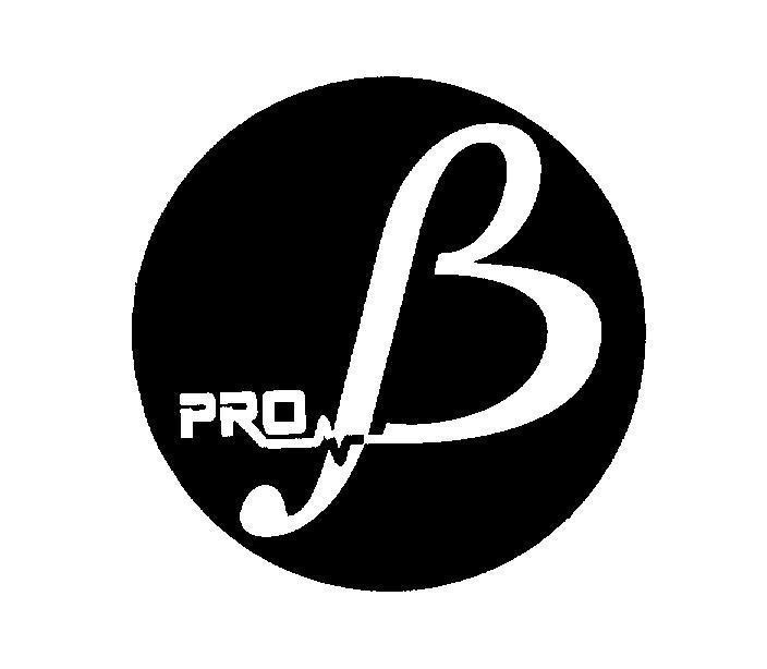 Mẫu nhãn hiệu PRO B