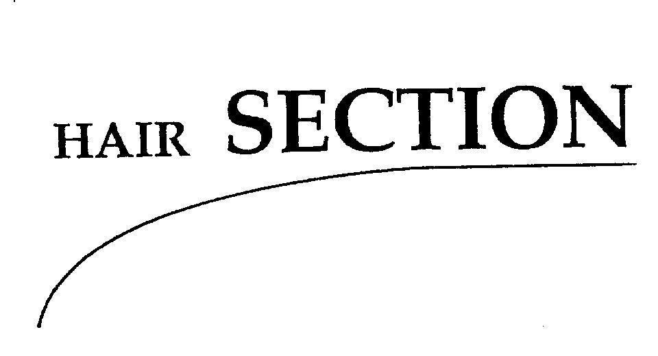 Mẫu nhãn hiệu HAIR SECTION