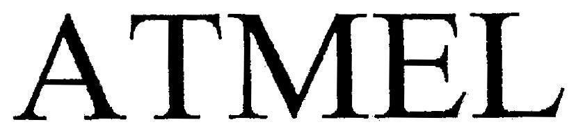 Mẫu nhãn hiệu ATMEL