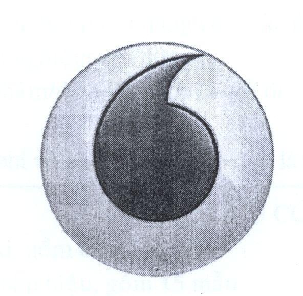 Mẫu nhãn hiệu Nhãn hiệu VN-4-2006-05201