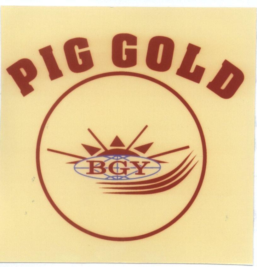 Mẫu nhãn hiệu PIG GOLD BGY