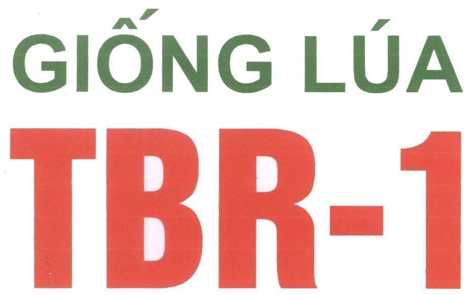 Mẫu nhãn hiệu Giống lúa TBR-1