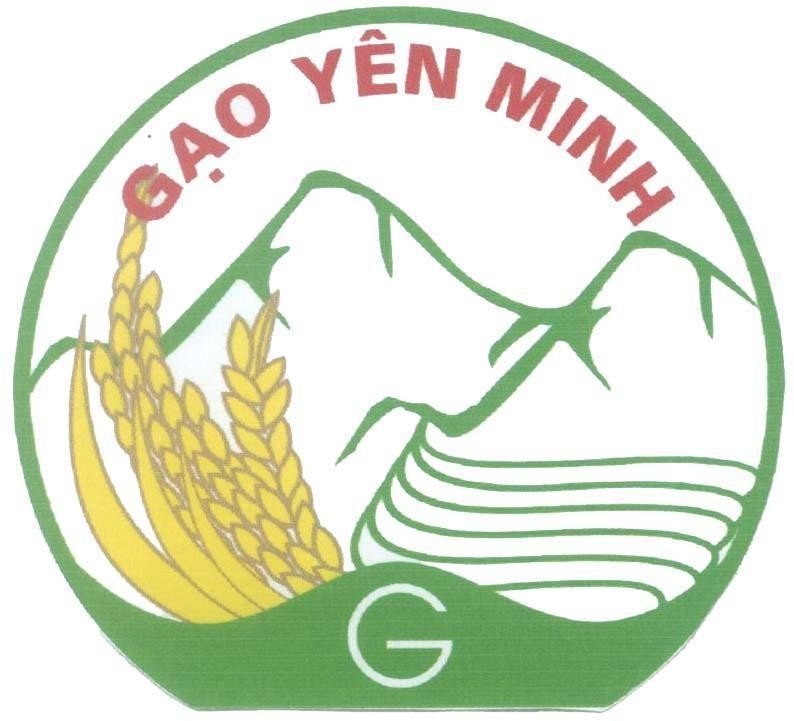 Mẫu nhãn hiệu Gạo Yên Minh G