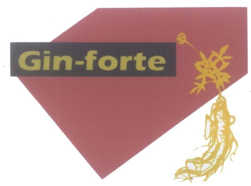 Mẫu nhãn hiệu GIN-FORTE