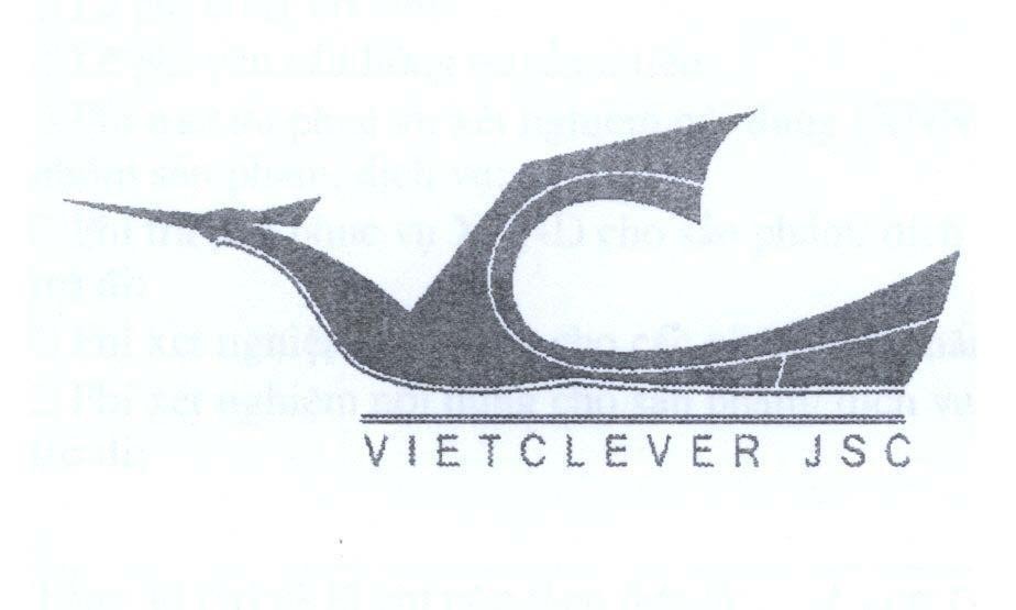 Mẫu nhãn hiệu VC VIETCLEVER JSC