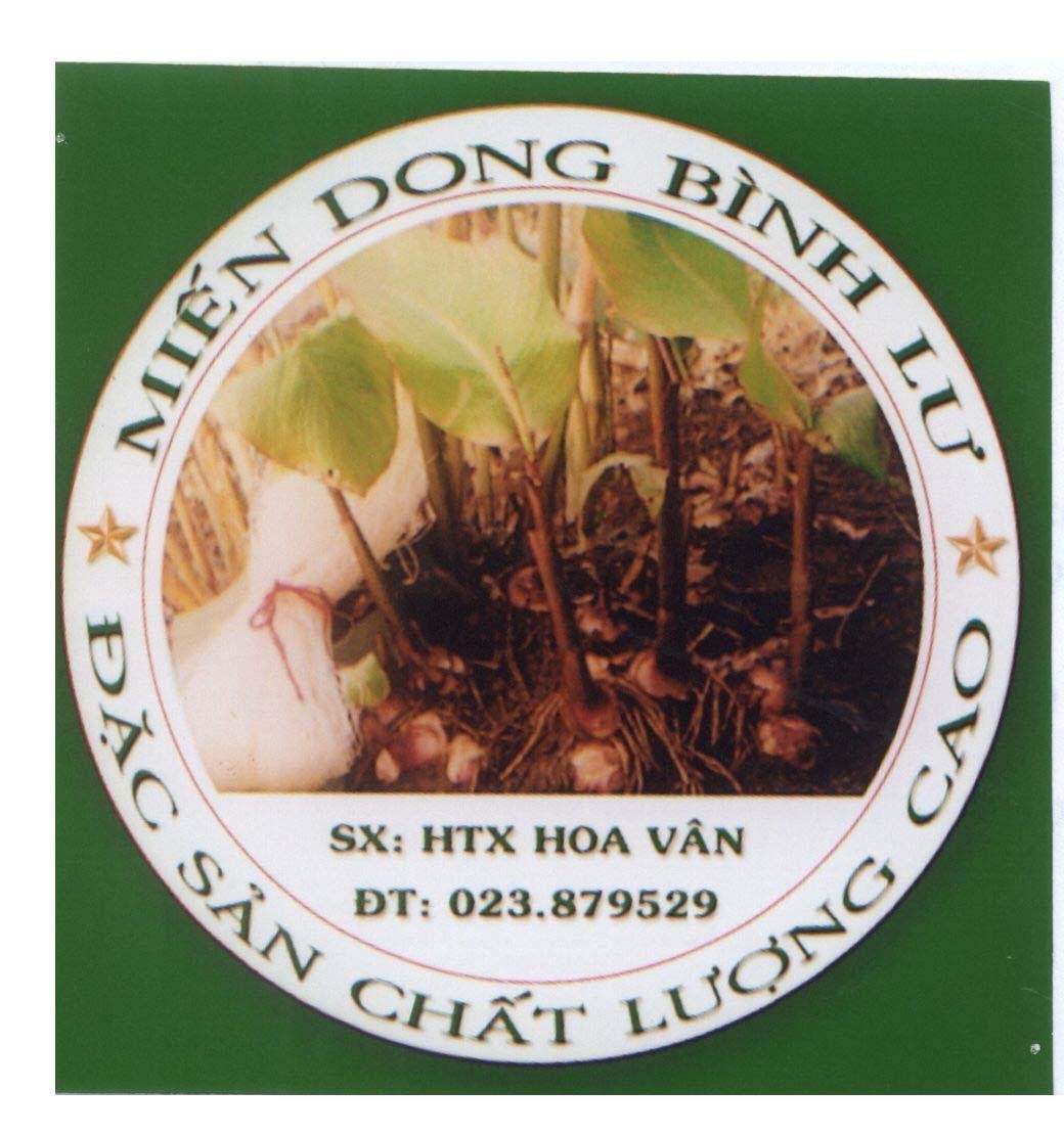 Mẫu nhãn hiệu Miến dong Bình Lư đặc sản chất lượng cao SX HTX HOA VÂN