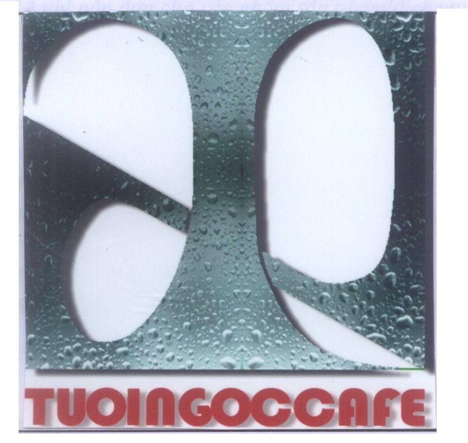 Mẫu nhãn hiệu TUOINGOCCAFE