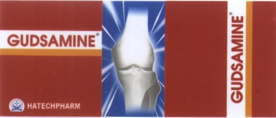 Mẫu nhãn hiệu GUDSAMINE HATECHPHARM