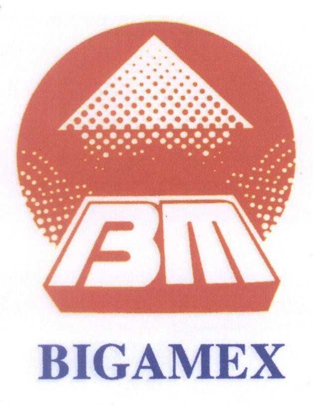 Mẫu nhãn hiệu BM BIGAMEX