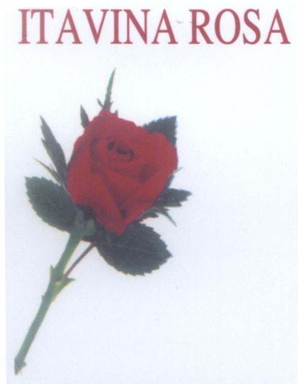 Mẫu nhãn hiệu ITAVINA ROSA