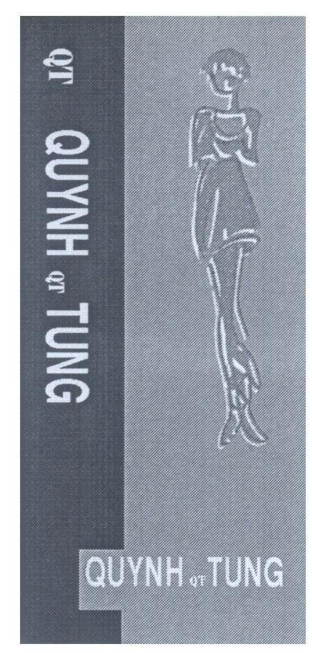 Mẫu nhãn hiệu QT QUYNH QT TUNG