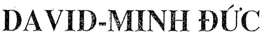 Mẫu nhãn hiệu DAVID - Minh Đức
