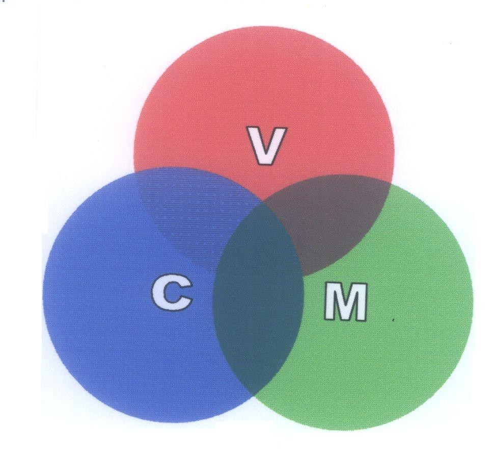 Mẫu nhãn hiệu V C M
