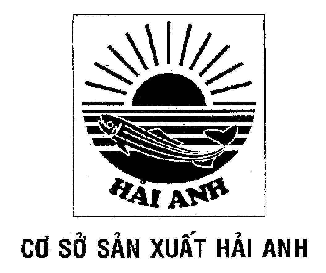 Mẫu nhãn hiệu Hải Anh Cơ sở sản xuất Hải Anh