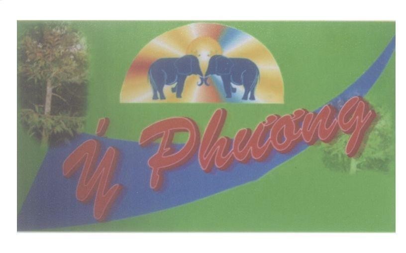 Mẫu nhãn hiệu ý phương