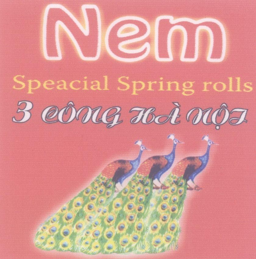 Mẫu nhãn hiệu Nem Speacial Spring rolls 3 Công Hà Nội