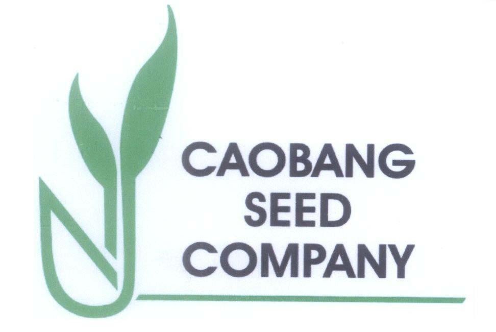 Mẫu nhãn hiệu U CAO BANG SEED COMPANY