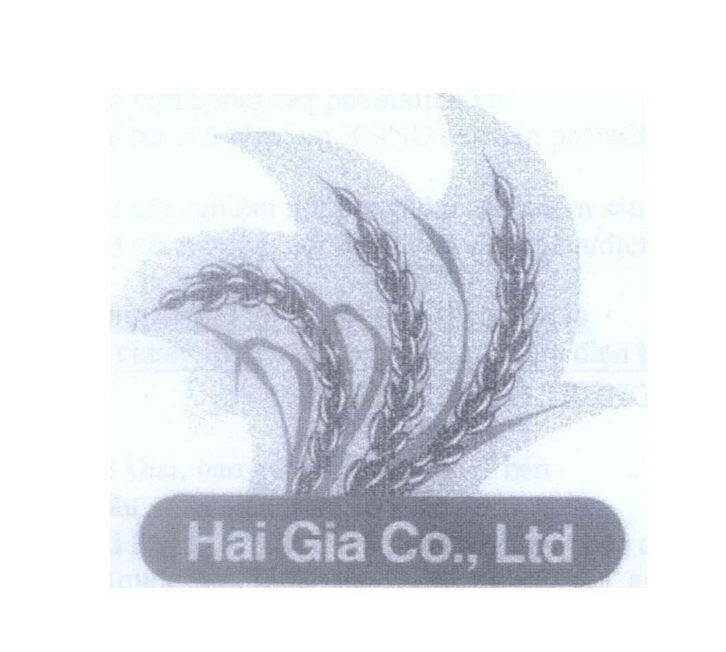 Mẫu nhãn hiệu Hai Gia Co., Ltd