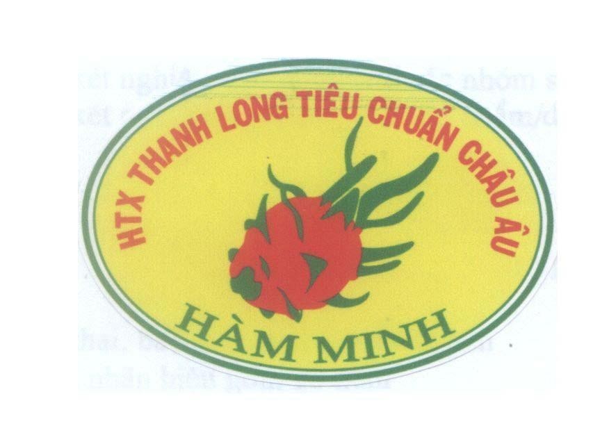 Mẫu nhãn hiệu Hàm Minh HTX Thanh Long Tiêu Chuẩn Châu Âu