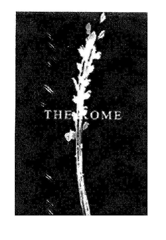 Mẫu nhãn hiệu THE-KOME