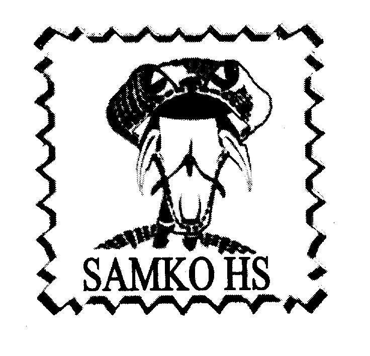 Mẫu nhãn hiệu SAMKO HS