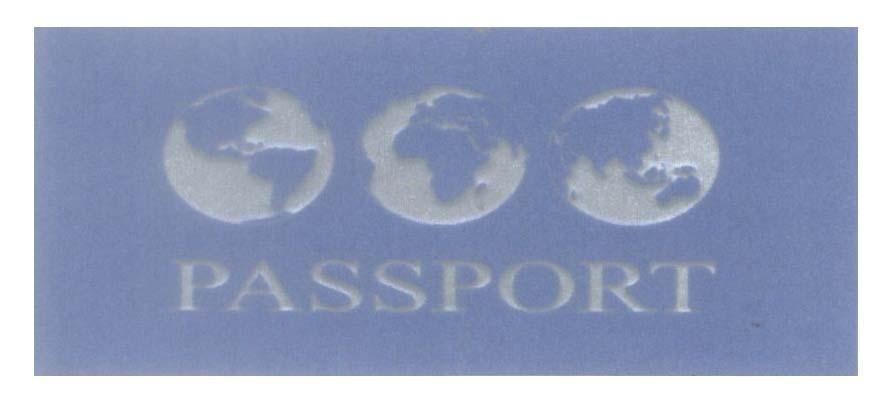 Mẫu nhãn hiệu PASSPORT