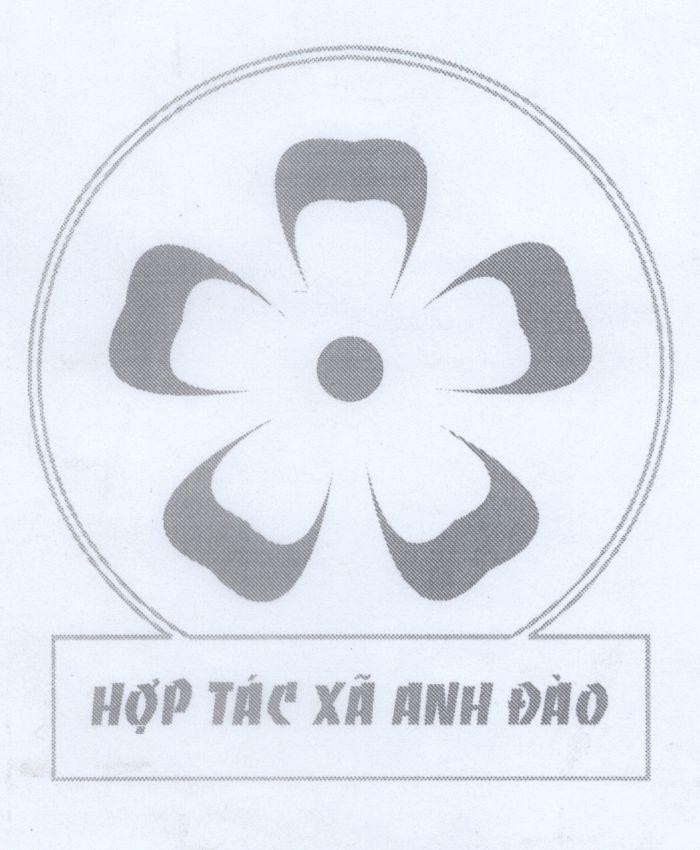 Mẫu nhãn hiệu Hợp tác xã Anh Đào