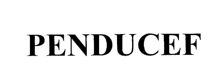 Mẫu nhãn hiệu PENDUCEF