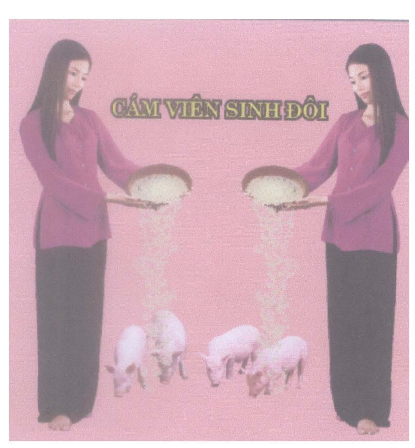 Mẫu nhãn hiệu Cám viên sinh đôi