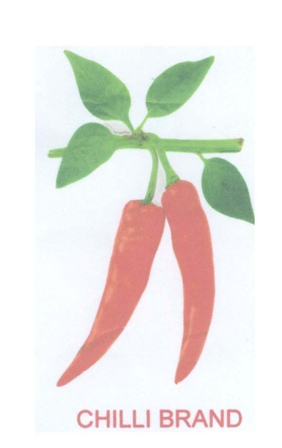 Mẫu nhãn hiệu CHILLI BRAND