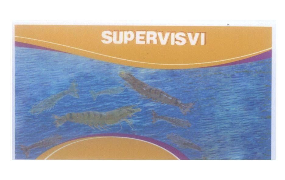 Mẫu nhãn hiệu SUPERVISVI