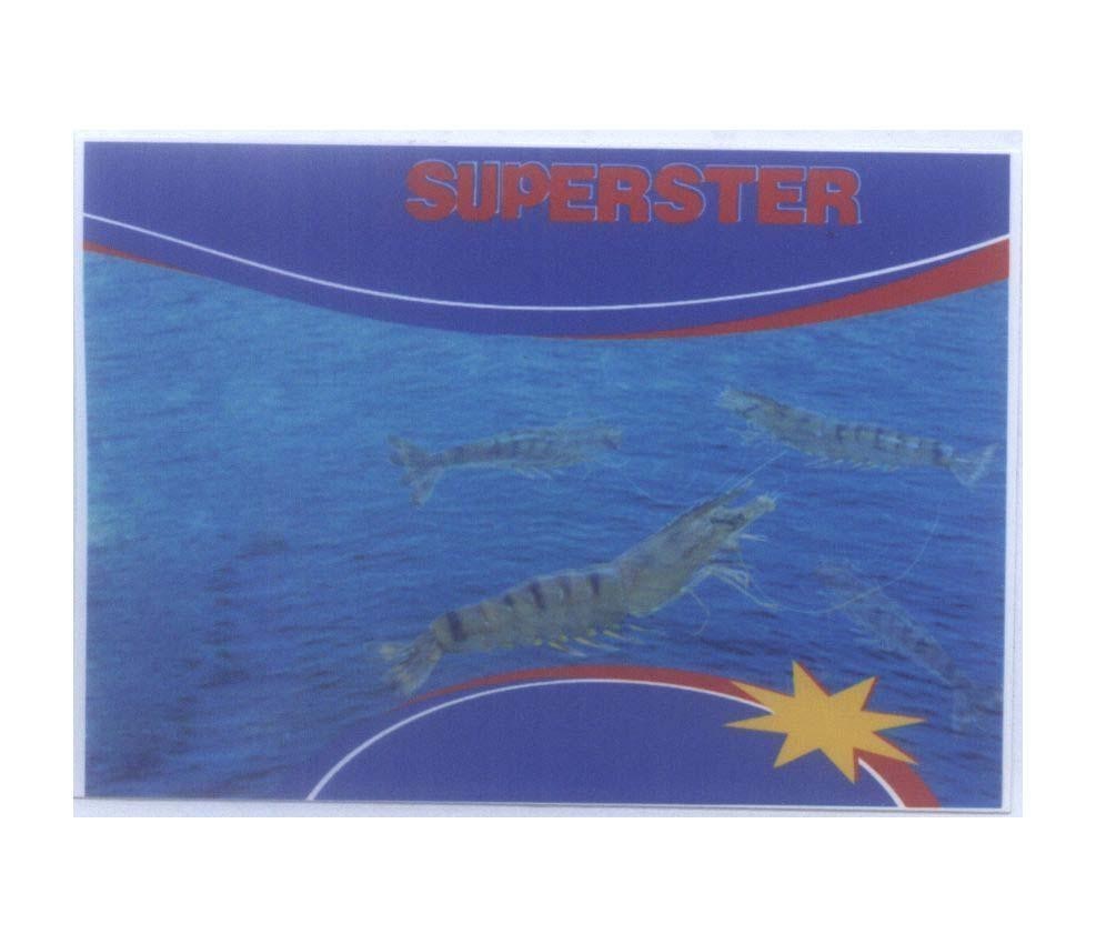Mẫu nhãn hiệu SUPERSTER