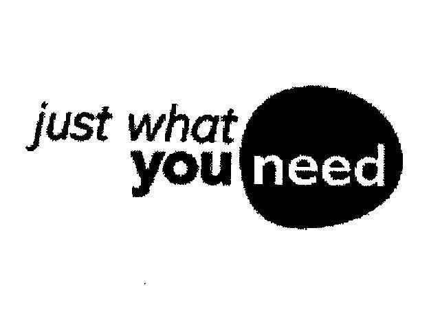 Mẫu nhãn hiệu just what you need