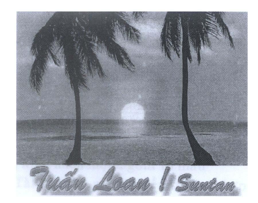 Mẫu nhãn hiệu Tuấn Loan! Suntan
