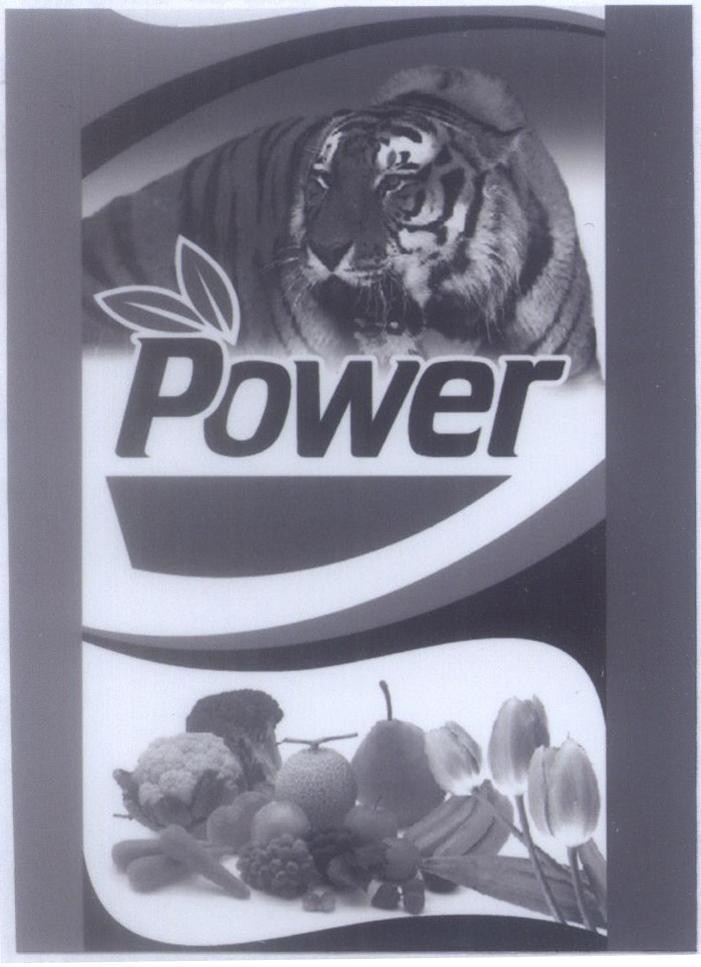 Mẫu nhãn hiệu Power