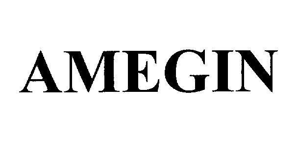 Mẫu nhãn hiệu AMEGIN
